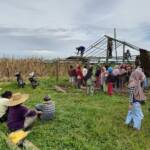 Foto : Kelompok tani mekar jaya saat melaksanakan gotong royong membuat pos penjagaan di lahan yang sudah 15 tahun diduduki. (tabloidpolmaspoldasu.com/Ist)