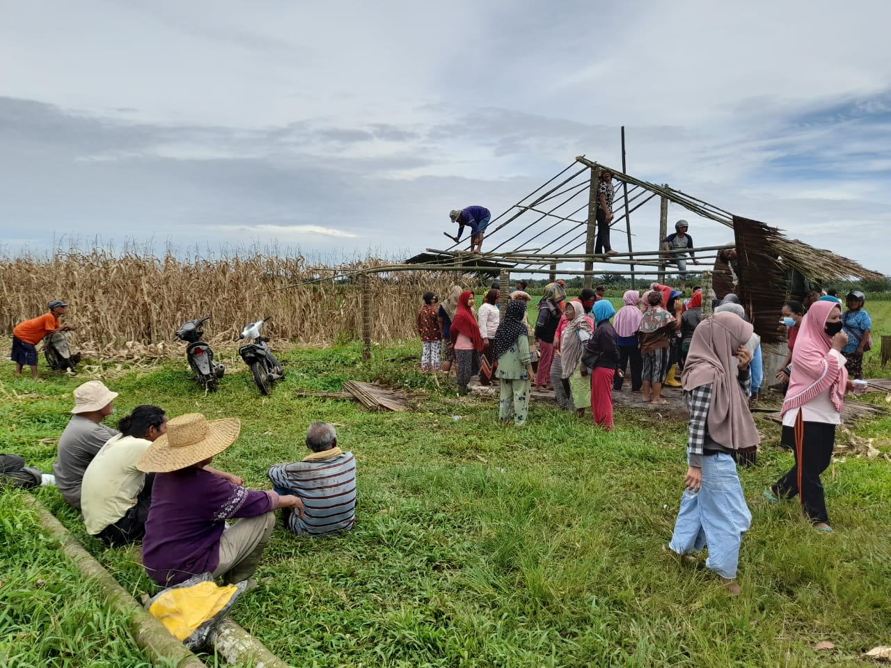 Foto : Kelompok tani mekar jaya saat melaksanakan gotong royong membuat pos penjagaan di lahan yang sudah 15 tahun diduduki. (tabloidpolmaspoldasu.com/Ist)