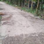 Foto : Jalan yang di aspal sepanjang 300M. Di Desa Bukit Lau kersik.