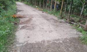 Foto : Jalan yang di aspal sepanjang 300M. Di Desa Bukit Lau kersik.