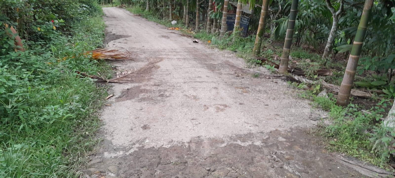 Foto : Jalan yang di aspal sepanjang 300M. Di Desa Bukit Lau kersik.