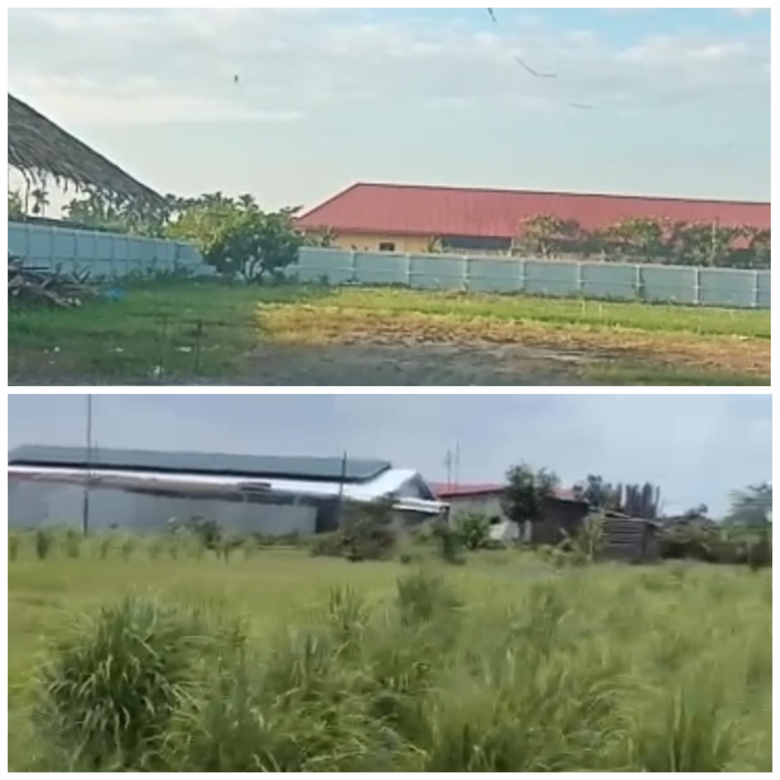 Foto : Lokasi milik AK dan AI diduga tempat perjudian terbesar di Sumut yang beromsetkan miliaran rupiah perhari lokasi pasar 7, Desa Manunggal, Kecamatan Helvetia, Kabupaten Deli Serdang, Provinsi Sumatra Utara, saat diabadikan. (tabloidpolmaspoldasu.id/SIS)