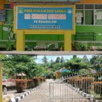 IMG-20250508-WA0002