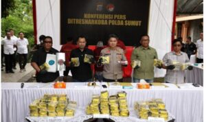 IMG-20250520-WA0003