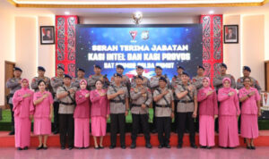 dansat